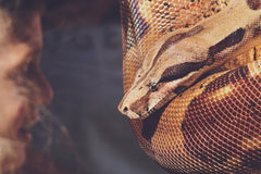 Invasive Species Profile: Burmese Python
