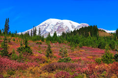 How to Secure Backpacking Permits on Recreation.gov