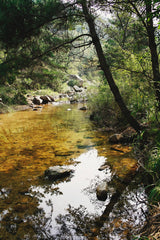 The Ecology of Smallmouth Bass