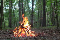 How To Build A Fire With Wet Wood: What You Need To Know