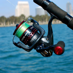 How to Choose a Fishing Reel
