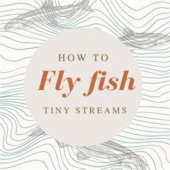Fly Fishing Tiny Streams