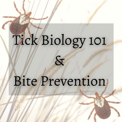 Ticks: A Biology Lesson and Bite Prevention