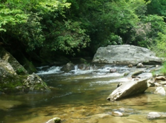 The Three Types of Trout Lies