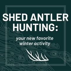 Shed Antler Hunting: Your New Favorite Winter Activity