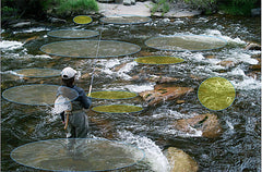 How to Read a Trout Stream