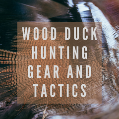 The Minimalist Waterfowler’s Favorite Species: Hunting Wood Ducks