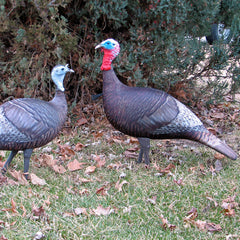 turkey decoys