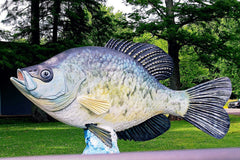 5 Spring Crappie Fishing Destinations