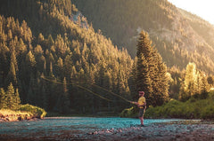 The Essential Guide to Fly Fishing Gear for Beginners