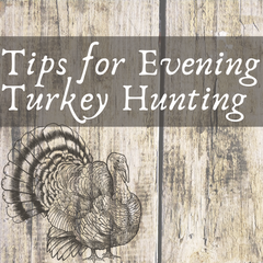 How to Kill A Turkey in the Evening