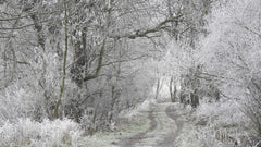 How to Care for Firearms in Freezing Conditions