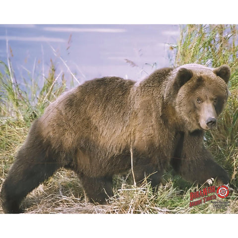 DuraMesh Archery Target Grizzly Bear 25 in. x 32 in.