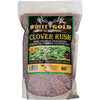 White Gold Clover Rush Seed 5 lb. - White Gold - View 1