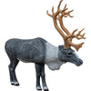 Rinehart 1/3 Scale Woodland Caribou - Rinehart - View 1