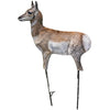 Montana Decoy Antelope Fawn - Montana Decoy - View 1