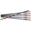 Ravin R18 Arrows .003 16 in. 6 pk. - Ravin - View 1