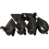 MOJO Coot Confidence Decoys  6 pk. - Mojo Outdoors - View 1