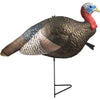 The Grind 1/2 Strut Jake Turkey Decoy - The Grind - View 1