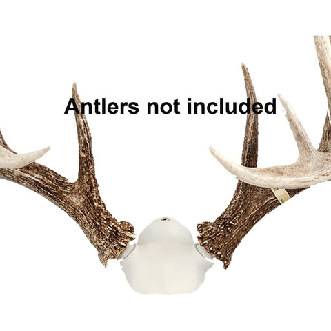 Big 8 Products The Change Up Bone Collector Edition