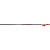 BloodSport BloodHunter Arrows 350 2 in. Vanes 6 pk. - BloodSport - View 1
