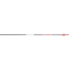 BloodSport Prosecutor Arrows 300 2 in. Vanes 6 pk.