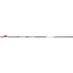 BloodSport Judgement Arrows 300 2 in. Vanes 6 pk.