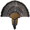 Hunters Specialties Turkey Mount Kit Tail & Beard - Hunters Specialties - View 1