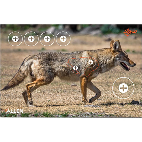 EzAim Four Color Coyote Paper Target 25x35 2 pk.