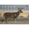 EzAim Four Color Whitetail Paper Target 16.5x24 2 pk. - Allen - View 1