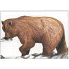 Maple Leaf NFAA Animal Faces Group 1 Grizzly - Maple Leaf Press - View 1