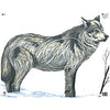 Maple Leaf NFAA Animal Faces Group 2 Wolf - Maple Leaf Press - View 1