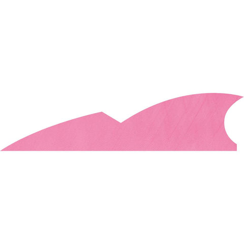 Gateway Batwing Feathers Flo Pink 2 in. RW 50 pk.