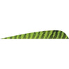 Gateway Parabolic Feathers Barred Chartreuse 4 in. LW 50 pk. - Gateway - View 1