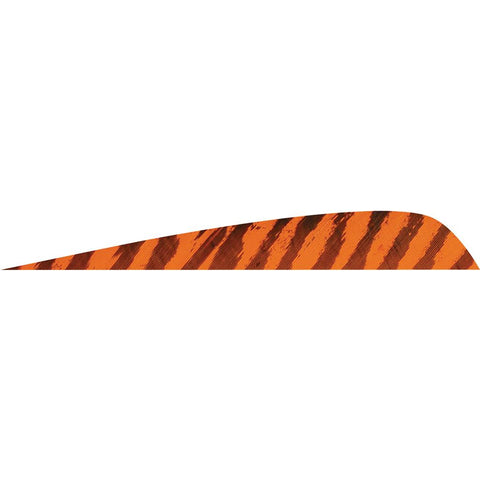 Gateway Parabolic Feathers Barred Orange 4 in. LW 50 pk.