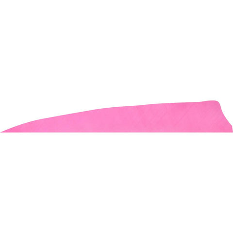 Gateway Shield Cut Feathers Flo Pink 4 in. LW 50 pk.