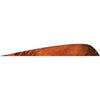 Gateway Parabolic Feathers Tre Orange 4 in. RW 50 pk. - Gateway - View 1