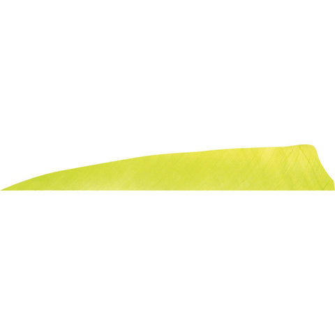Gateway Shield Cut Feathers Lemon Lime 4 in. RW 50 pk.