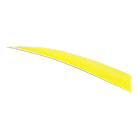 Trueflight Shield Cut Feathers Chartreuse 5 in. RW 100 pk.