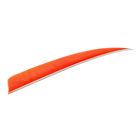 Trueflight Shield Cut Feathers Orange 5 in. LW 100 pk.