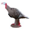 Rinehart Tom Turkey Target - Rinehart - View 1