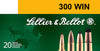Sellier & Bellot SB300A Rifle Hunting 300 Win Mag 180 GR PTS (Plastic Tip Special) 20 Bx/ 20 Cs - Magtech - View 1