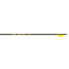 Gold Tip Hunter Pro Arrow 340 Raptor Vane 6 pk. - Gold Tip - View 1