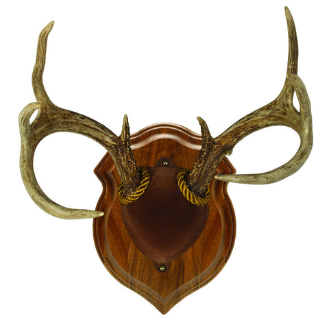 Walnut Hollow Deluxe Antler Display Kit Walnut