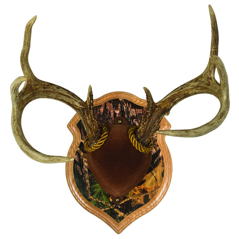 Walnut Hollow Deluxe Antler Display Kit Camo
