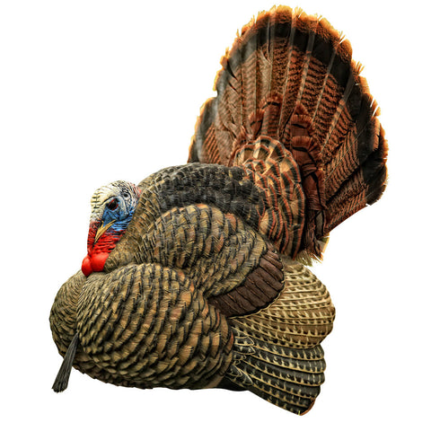 Avian X Turkey Decoy Strutter