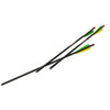 Excalibur Carbon FireBolts w/Illuminated Nocks 20 in 3 pk - Excalibur - View 1