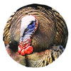 Heads Up Tom Turkey Decoy - Heads Up Decoys - View 1