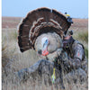 Heads Up Tom Turkey Decoy - Heads Up Decoys - View 2