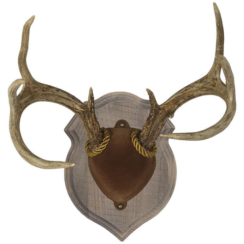 Walnut Hollow Delux Antler Display Kit Rustic
